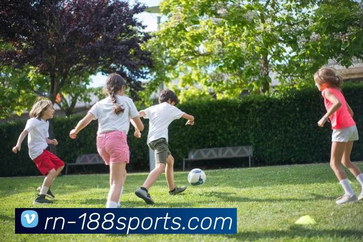 188体育投注平台生态图